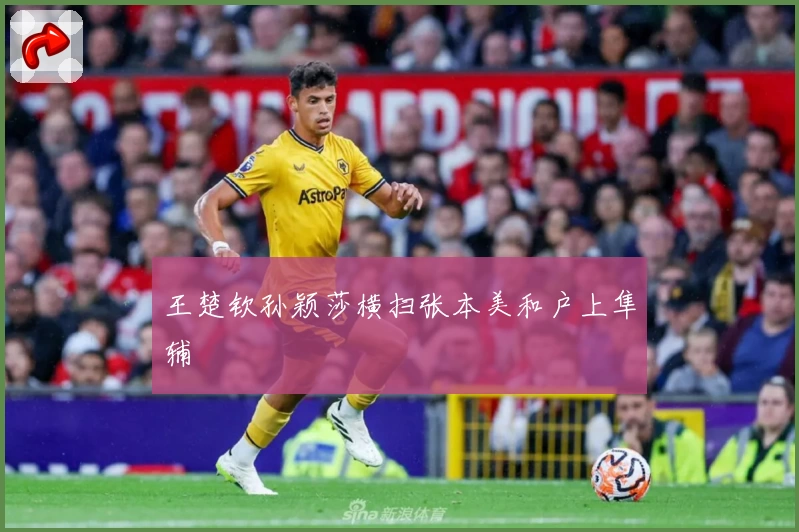 王楚钦孙颖莎横扫张本美和户上隼辅