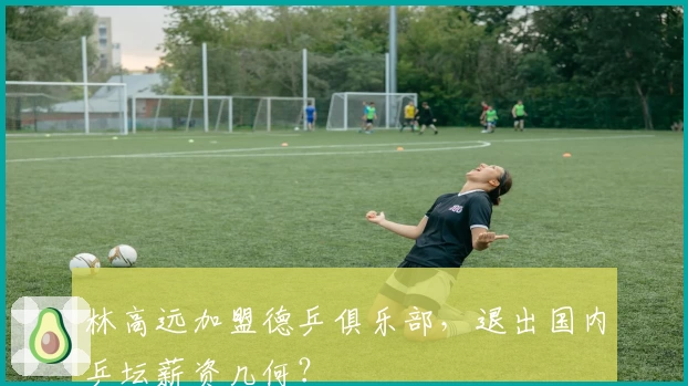 林高远加盟德乒俱乐部，退出国内乒坛薪资几何？