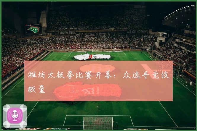 潍坊太极拳比赛开幕，众选手竞技较量